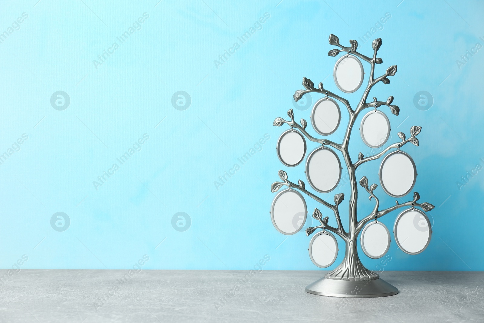 Photo of Blank metal family tree frame on light table. Space for text