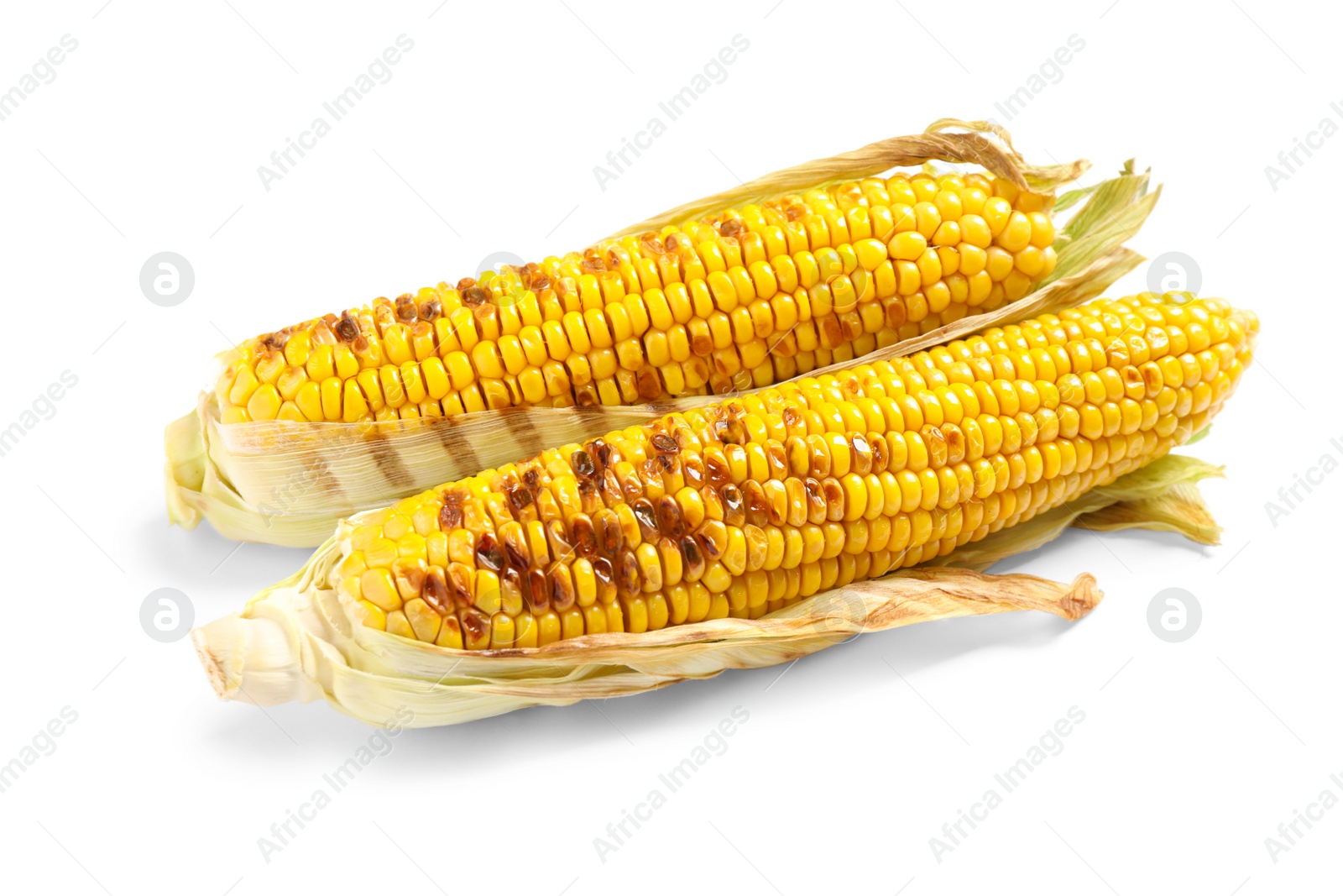 Photo of Delicious grilled corn cobs on white background