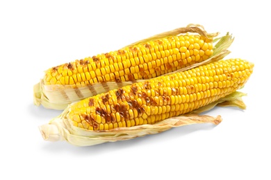 Delicious grilled corn cobs on white background