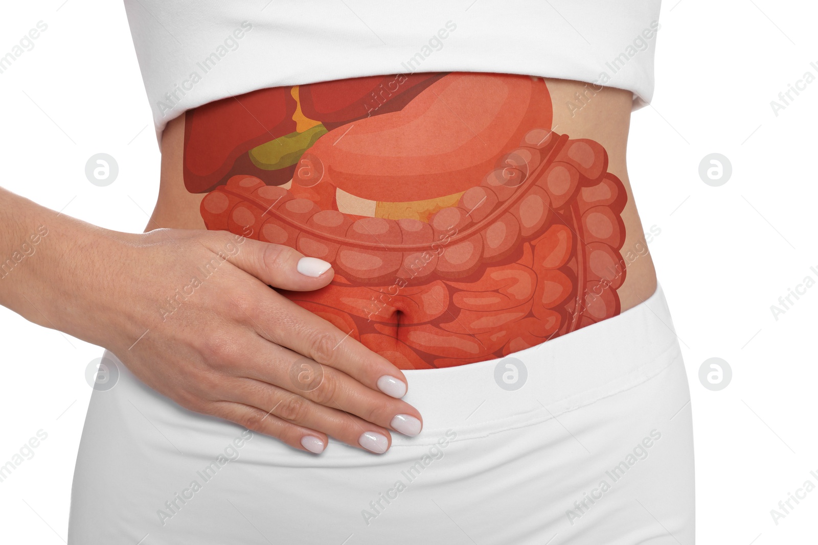 Image of Closeup view of woman with illustration of abdominal organs on her belly against white background