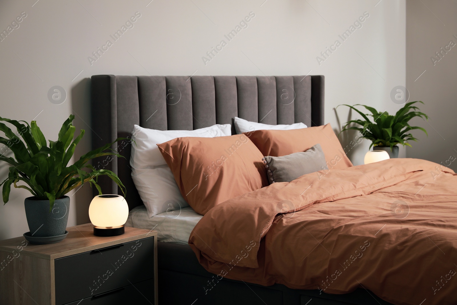 Photo of Stylish bedroom interior with comfortable bed and green houseplants