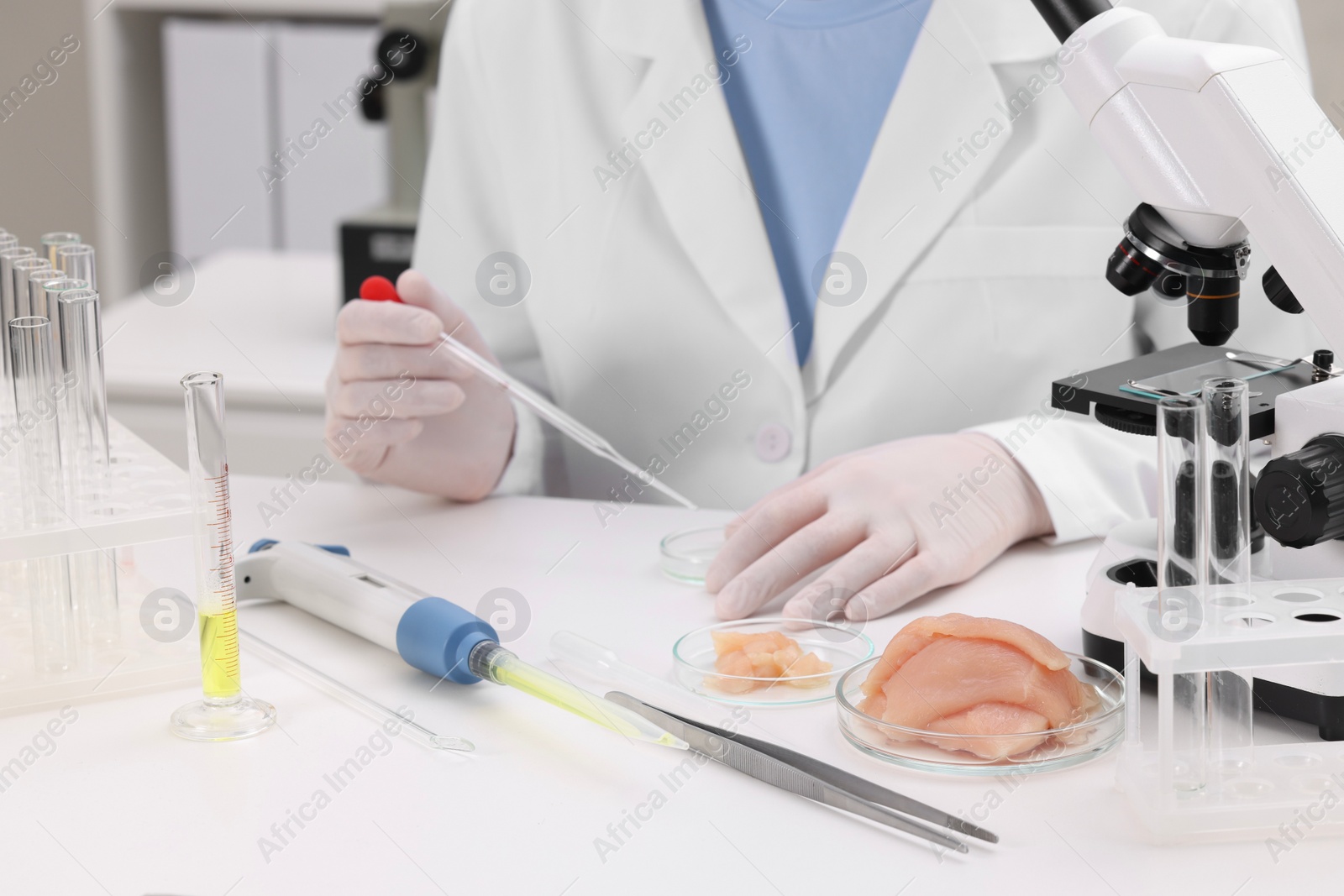 Photo of Quality control. Food inspector examining meat in laboratory, closeup