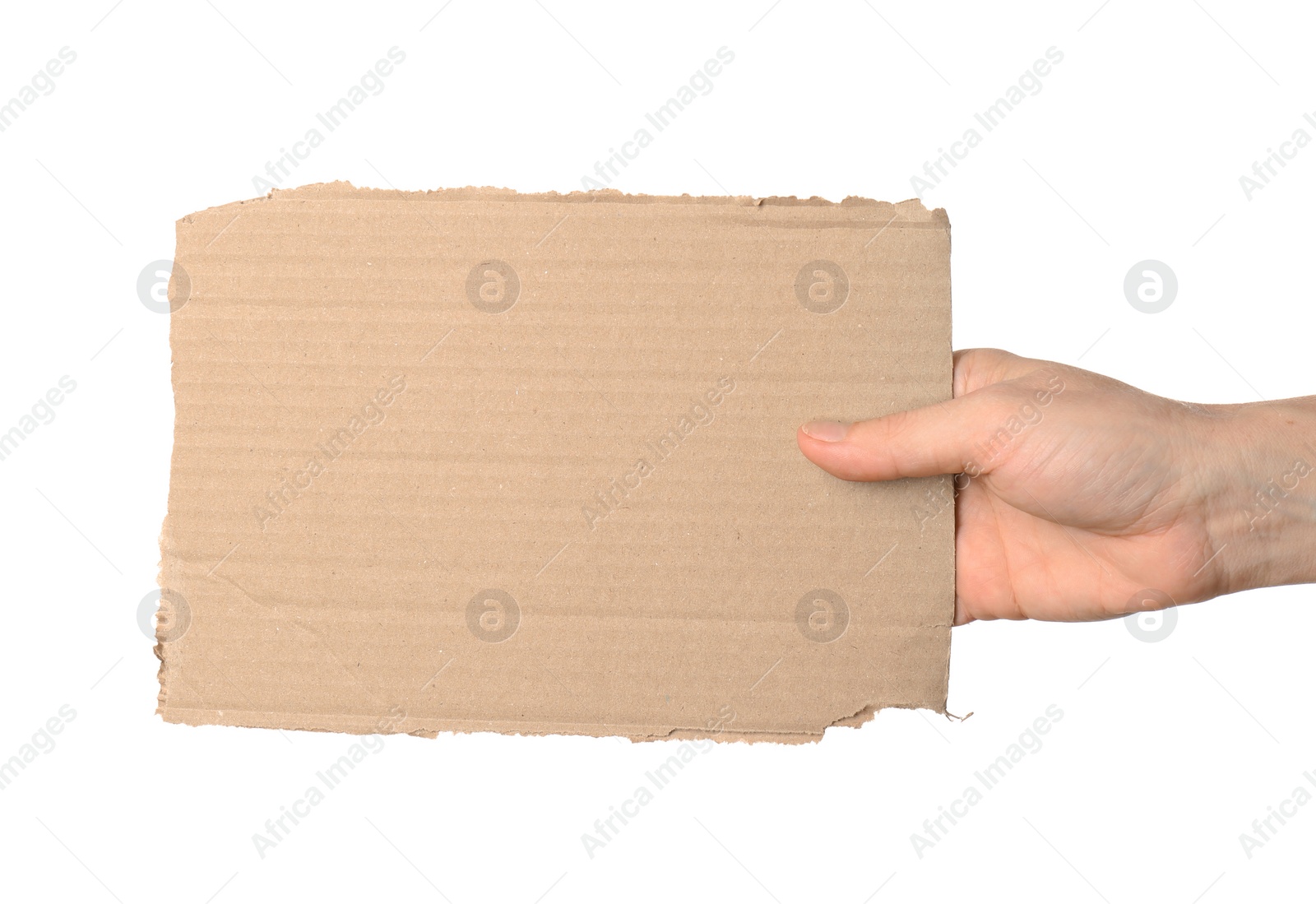 Photo of Woman holding piece of cardboard on white background, closeup. Space for text