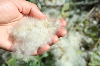 Photo of Woman holding pile of poplar fluff outdoors on sunny day, closeup. Space for text