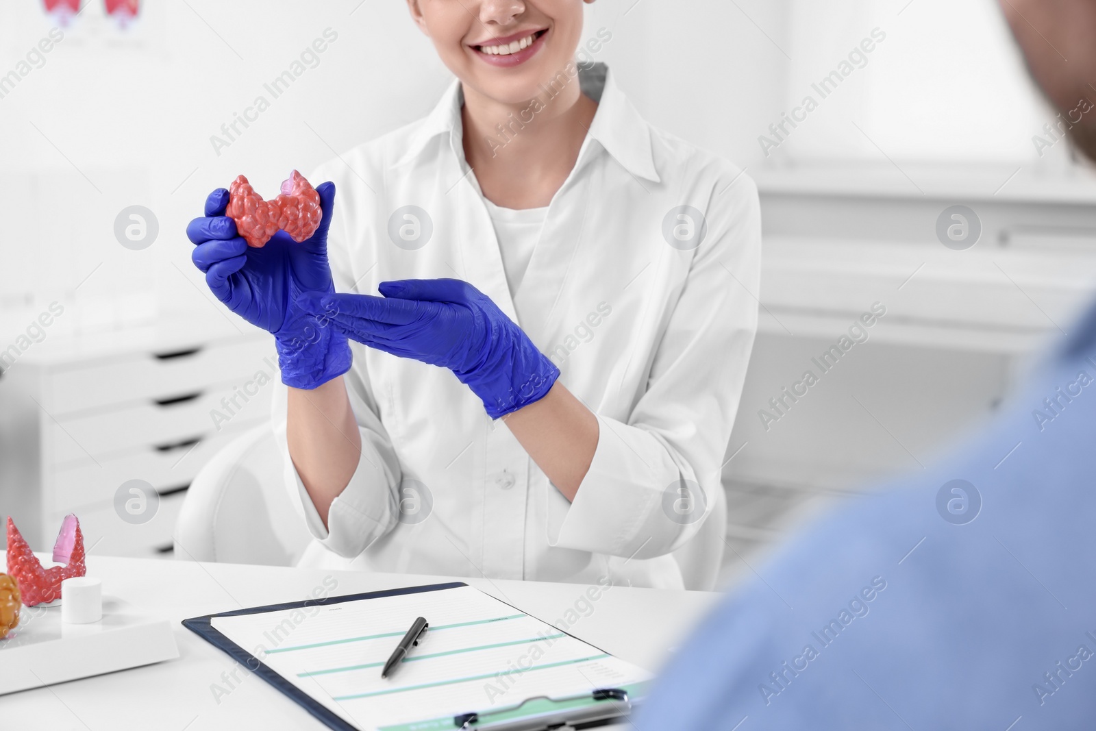 Photo of Endocrinologist showing thyroid gland model to patient at table in hospital, closeup