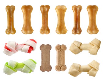 Image of Set with different bone dog treats on white background