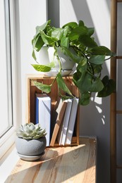 Photo of Different beautiful houseplants and books on window sill indoors