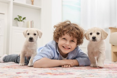 Photo of Little boy lying with cute puppies on carpet at home