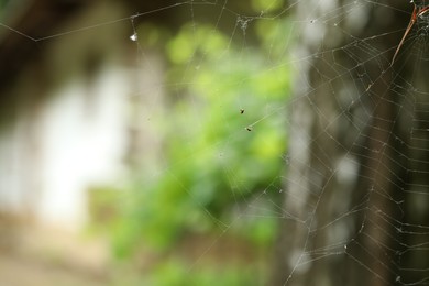 Old dusty cobweb on blurred background, closeup