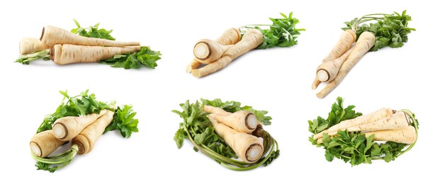 Collage with fresh parsnips on white background