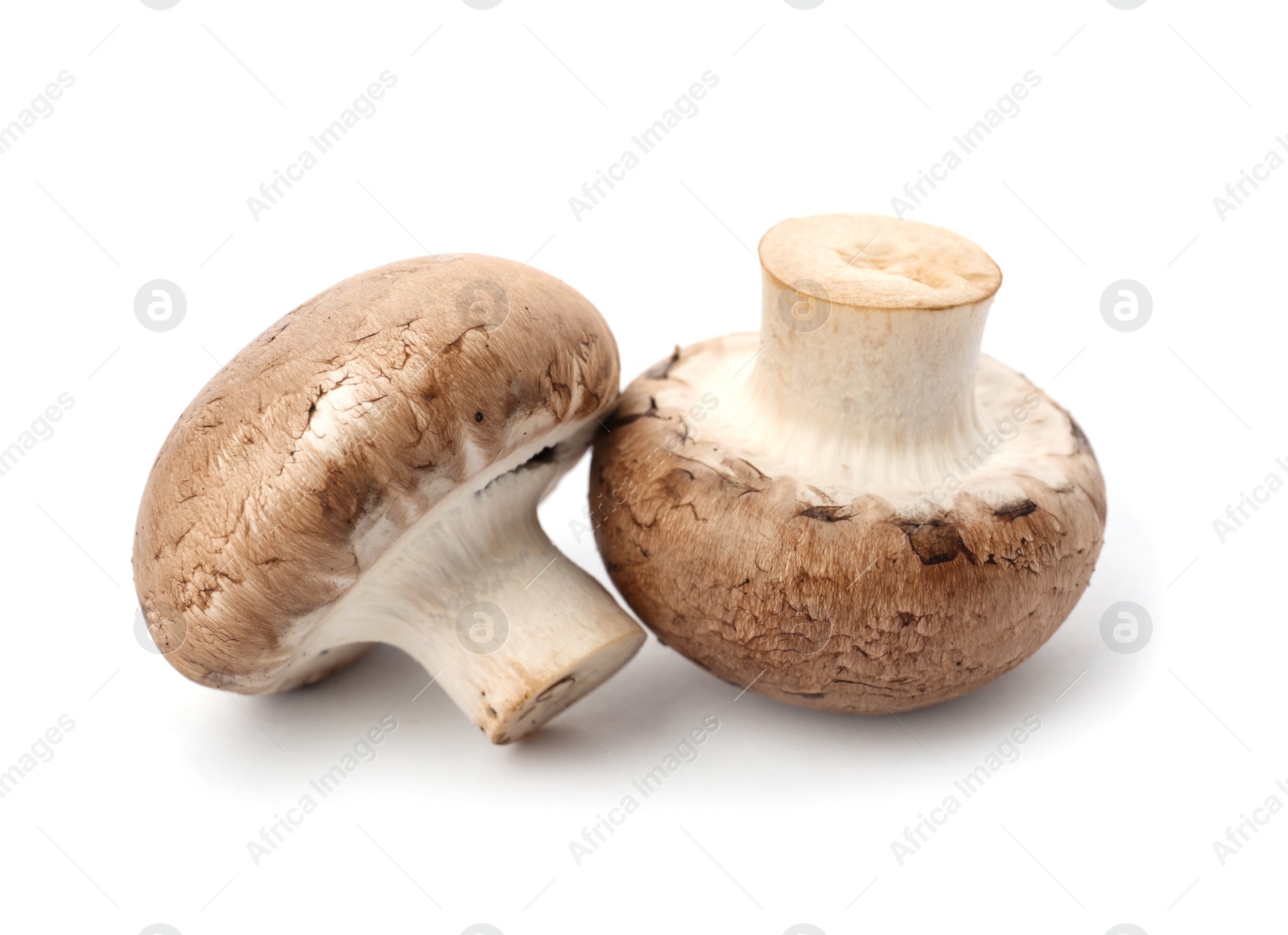 Photo of Fresh raw champignon mushrooms on white background