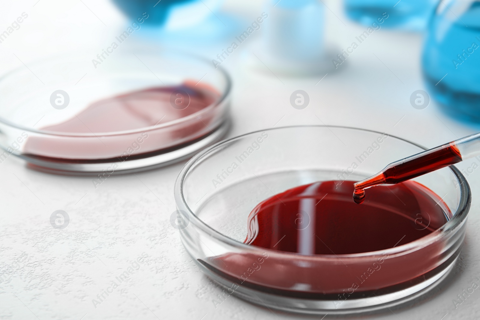 Image of Dripping blood from pipette into Petri dish on table, closeup. Laboratory analysis