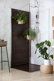 Photo of Bathroom interior with shower stall and houseplants. Idea for design