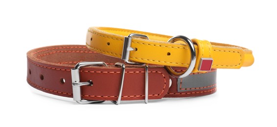 Photo of Different leather dog collars on white background