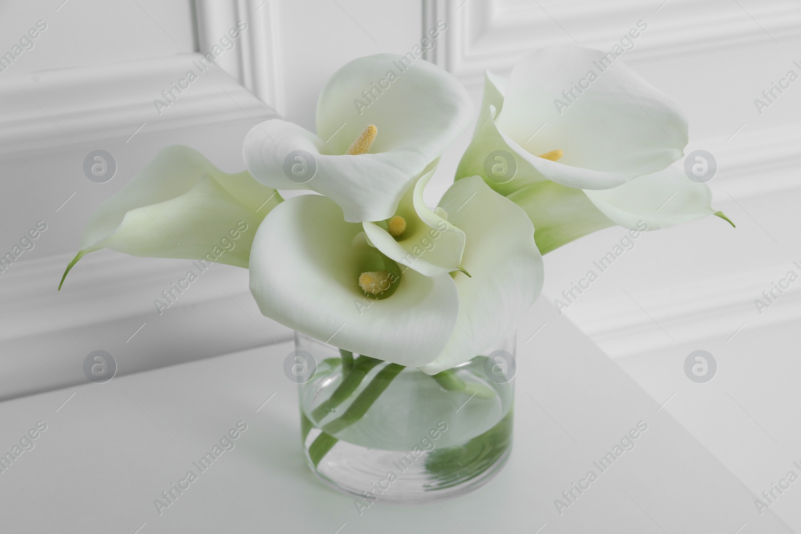 Photo of Beautiful calla lily flowers in glass vase on white table, closeup