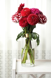 Photo of Beautiful blooming dahlia flowers in vase indoors