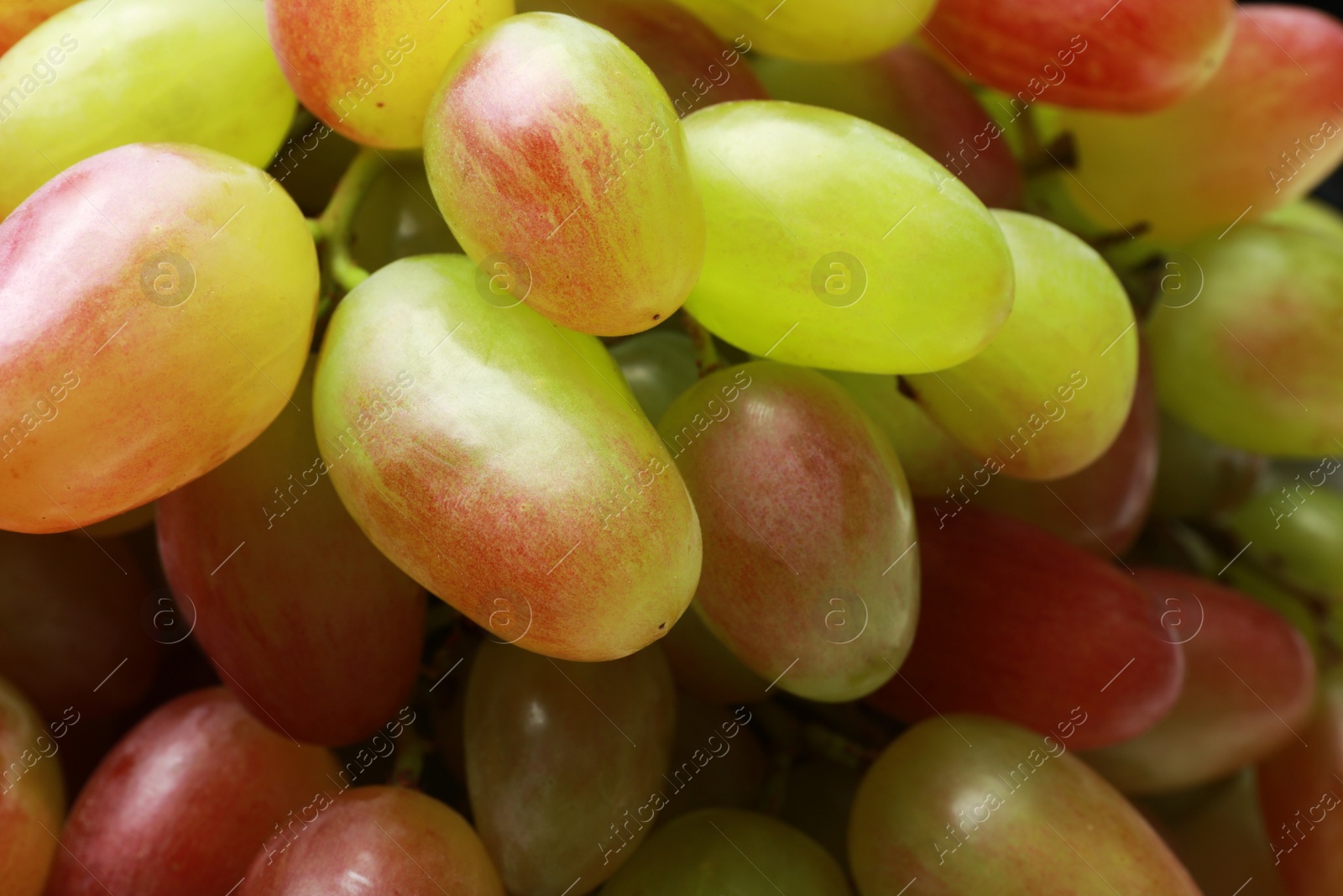 Photo of Fresh ripe juicy grapes as background, closeup