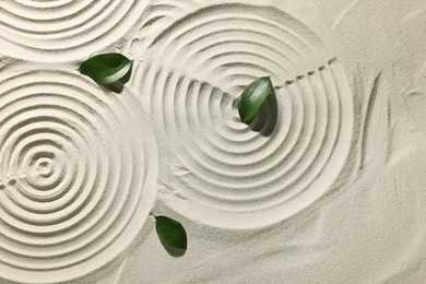 Photo of Beautiful spirals and leaves on sand, top view. Zen garden