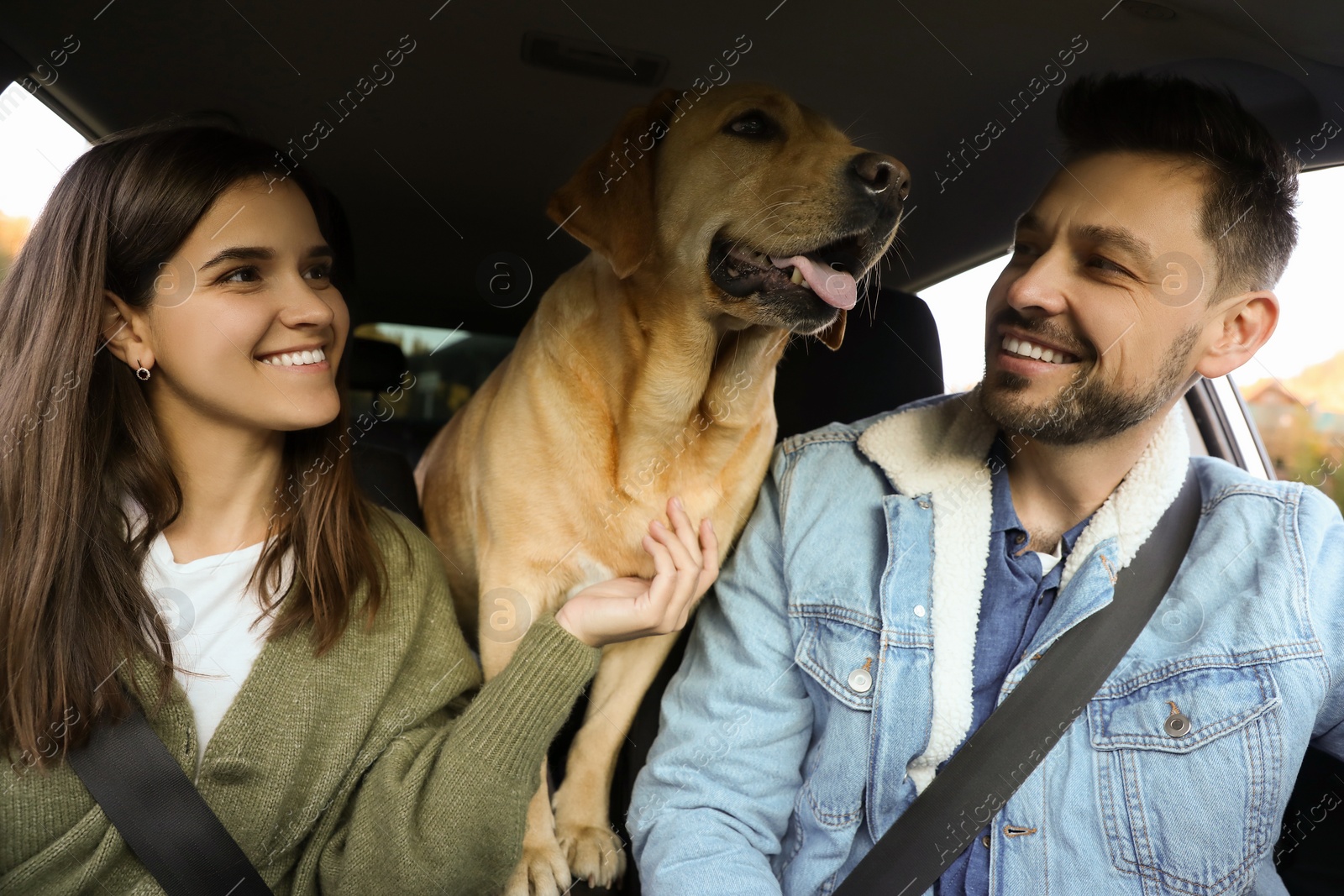 Photo of Happy couple and dog in car. Traveling with pet