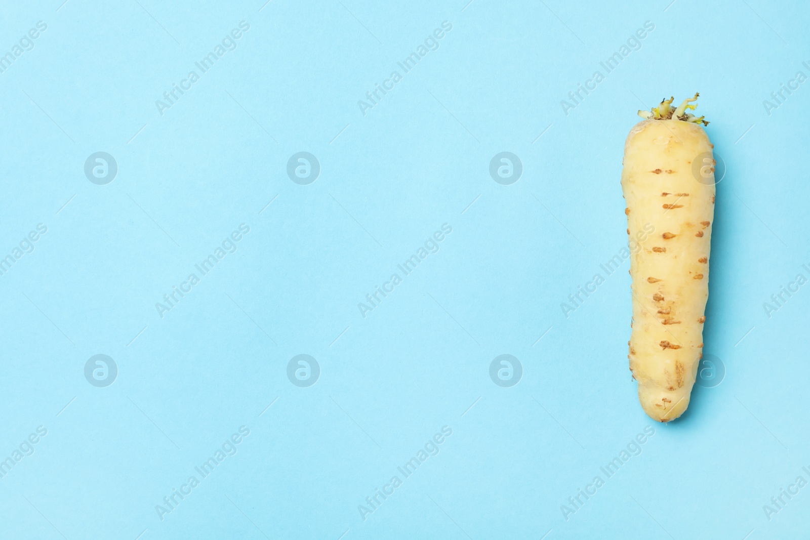 Photo of Whole raw white carrot on light blue background, top view. Space for text