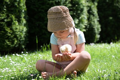 Photo of Cute little girl with chick on green grass outdoors. Baby animal