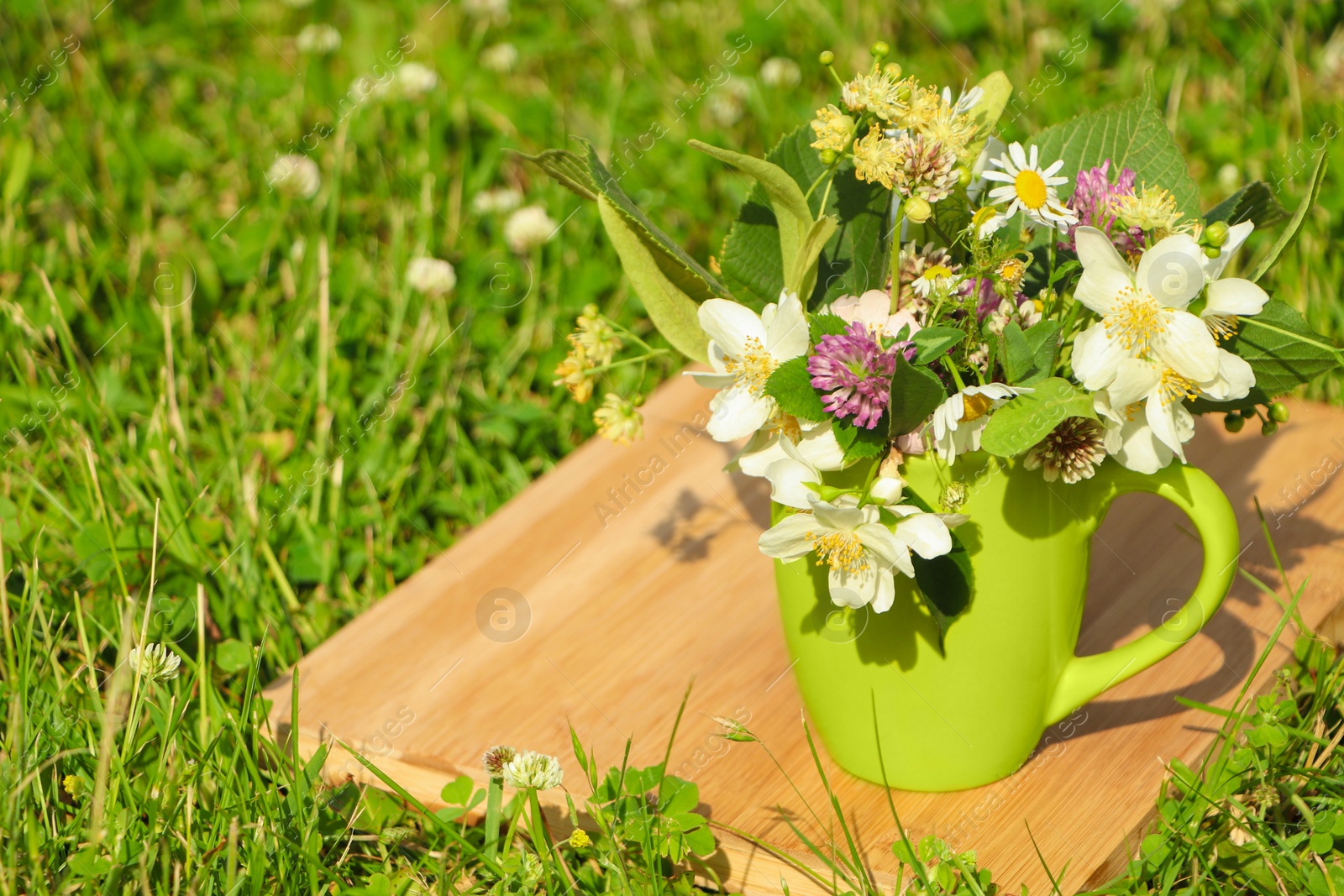 Photo of Green cup with different wildflowers and herbs on wooden board in meadow. Space for text