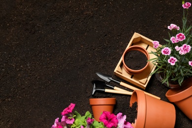 Photo of Flat lay composition with gardening tools and flowers on soil, space for text