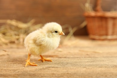 Photo of Cute chick on wooden table, space for text. Baby animal