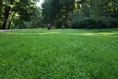 Photo of Beautiful fresh green grass on sunny day