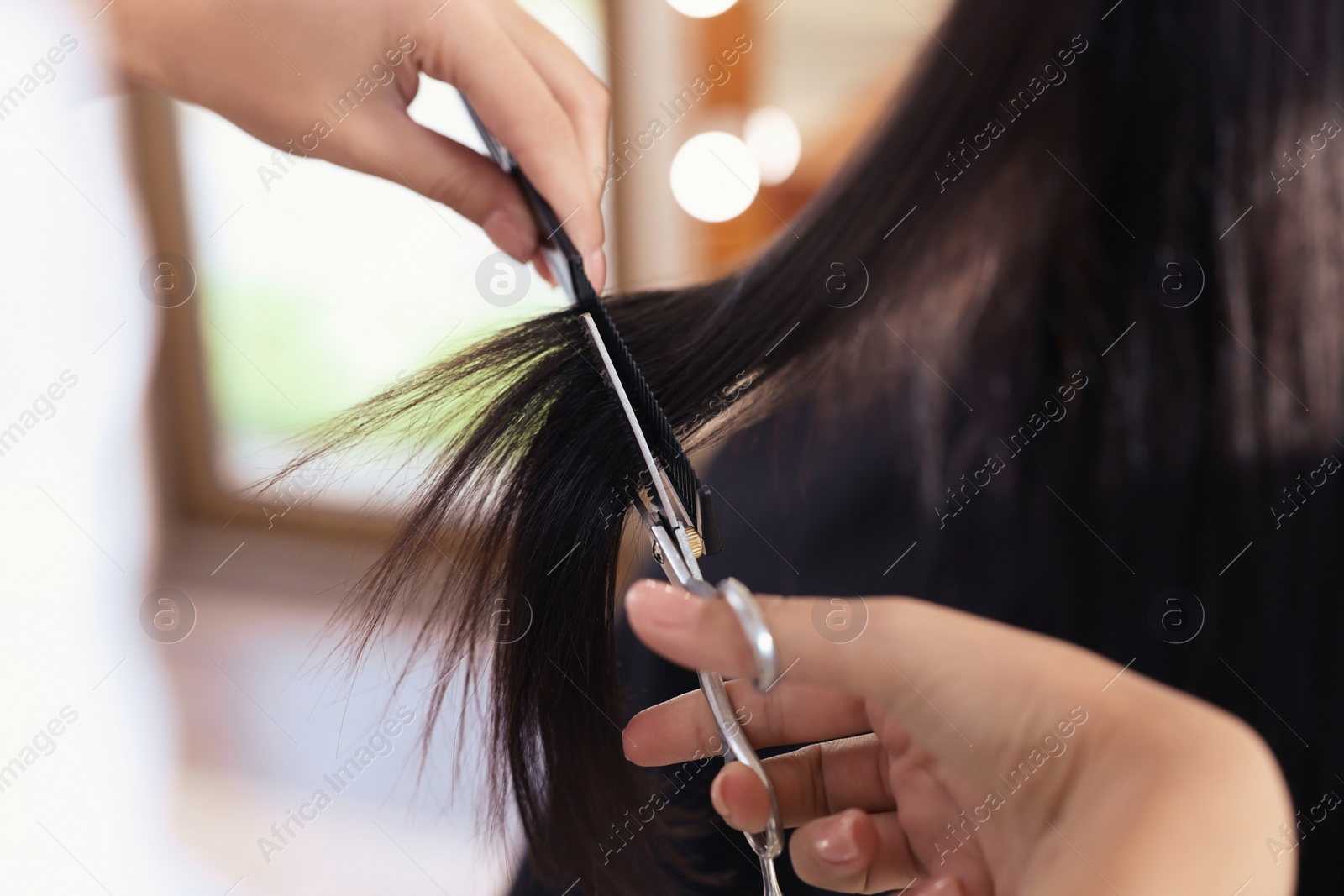 Photo of Professional hairdresser cutting woman's hair in beauty salon, closeup