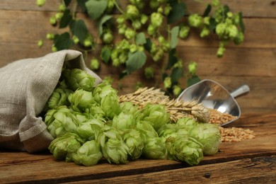 Fresh green hops, wheat grains and spikes on wooden table