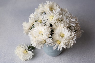 Vase with many beautiful chrysanthemum flowers on grey table, above view