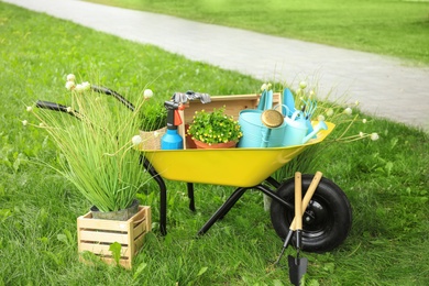 Composition with gardening tools on green grass