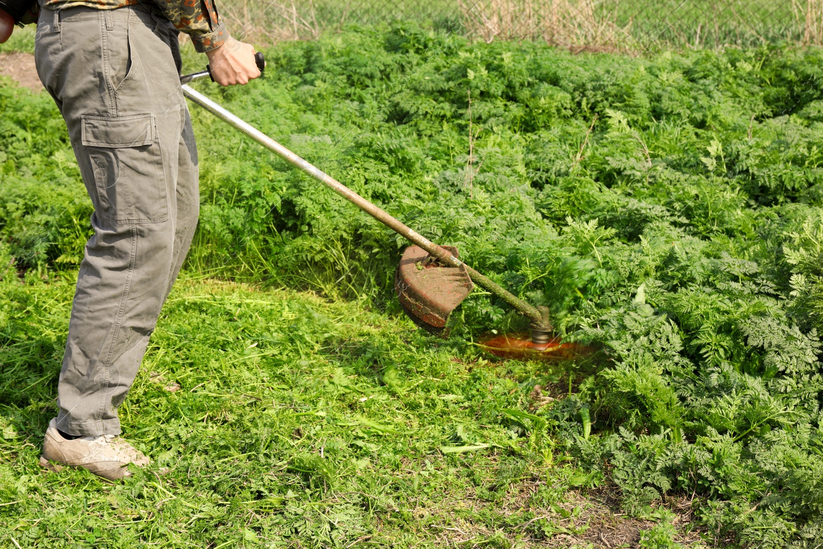 Photo of Worker cutting grass with electric lawn trimmer outdoors, closeup