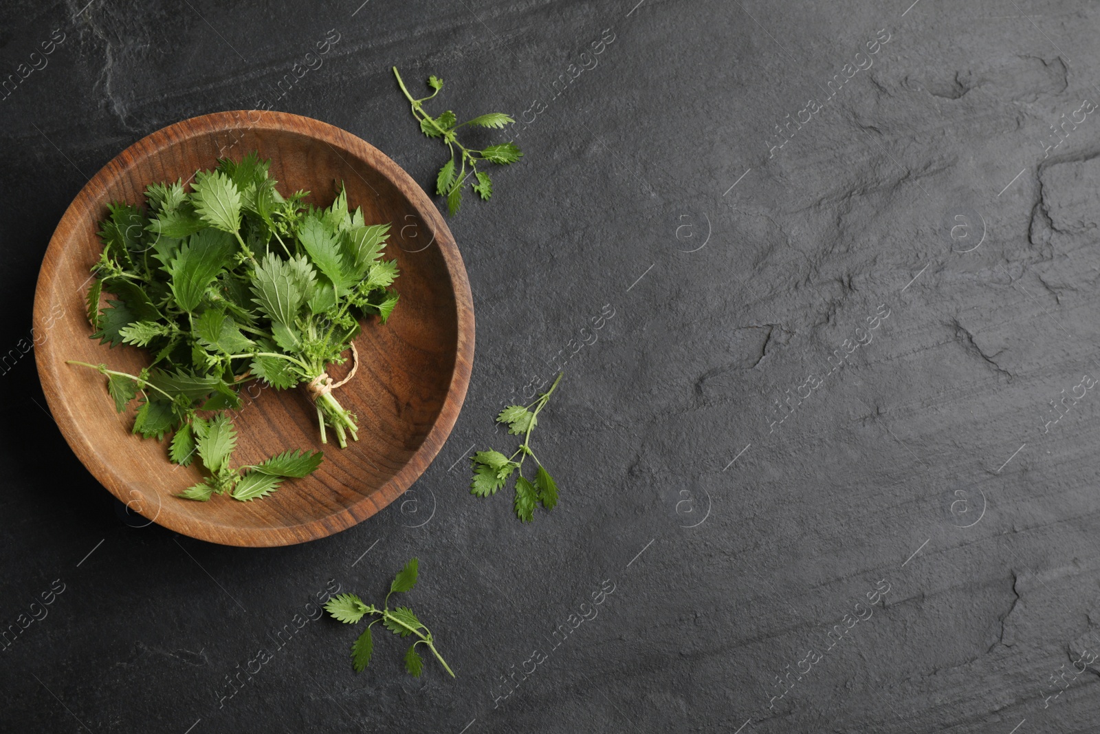 Photo of Fresh stinging nettle leaves on black table, flat lay. Space for text