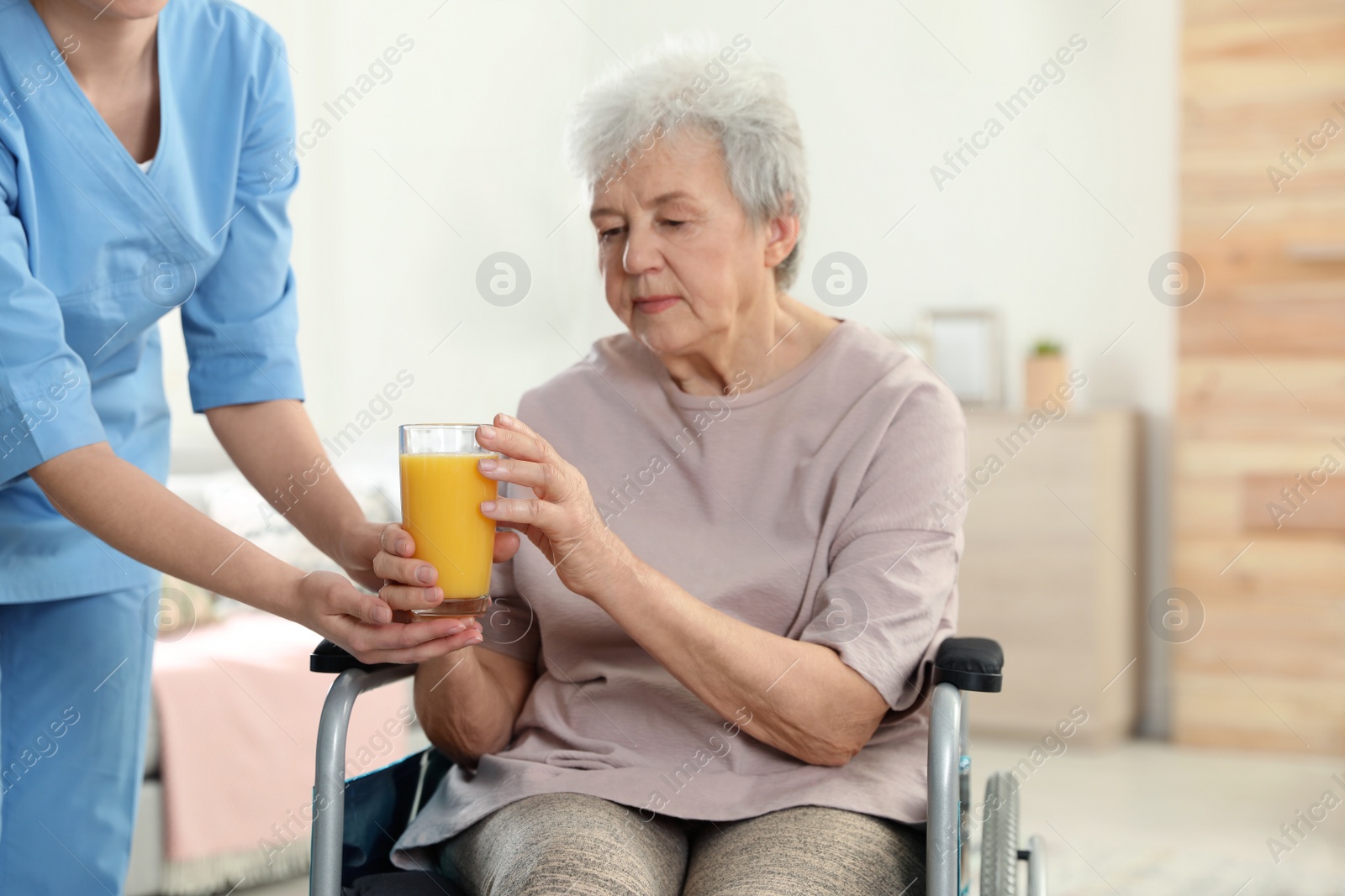 Photo of Nurse giving glass of juice to elderly woman in wheelchair indoors. Assisting senior people