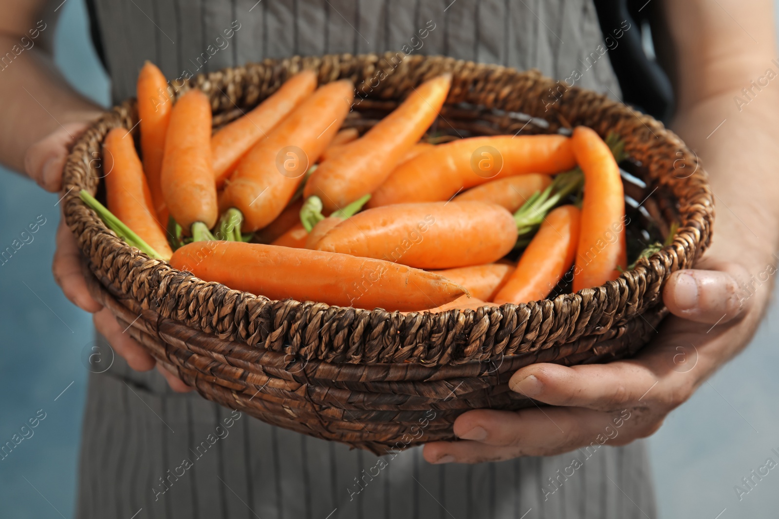 Photo of Young woman holding bowl with ripe carrots on color background, closeup