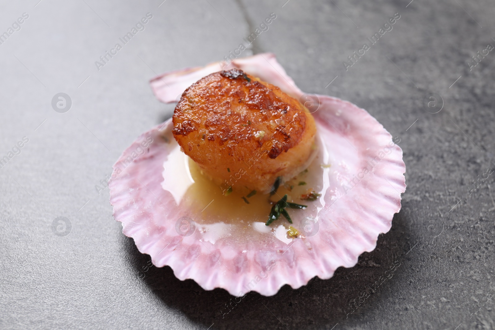 Photo of Delicious fried scallop in shell on grey table, closeup