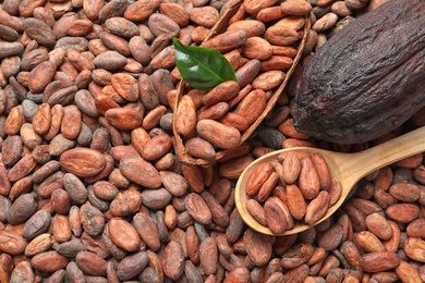 Wooden spoon and cocoa pods on beans, top view with space for text