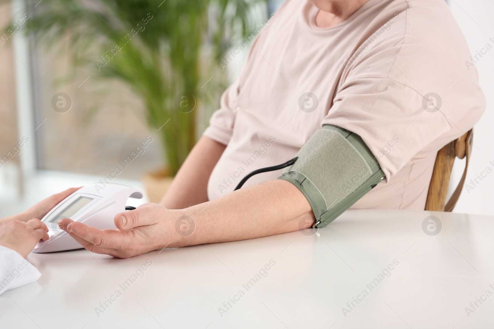 Photo of Nurse measuring blood pressure of elderly man indoors, closeup. Assisting senior generation