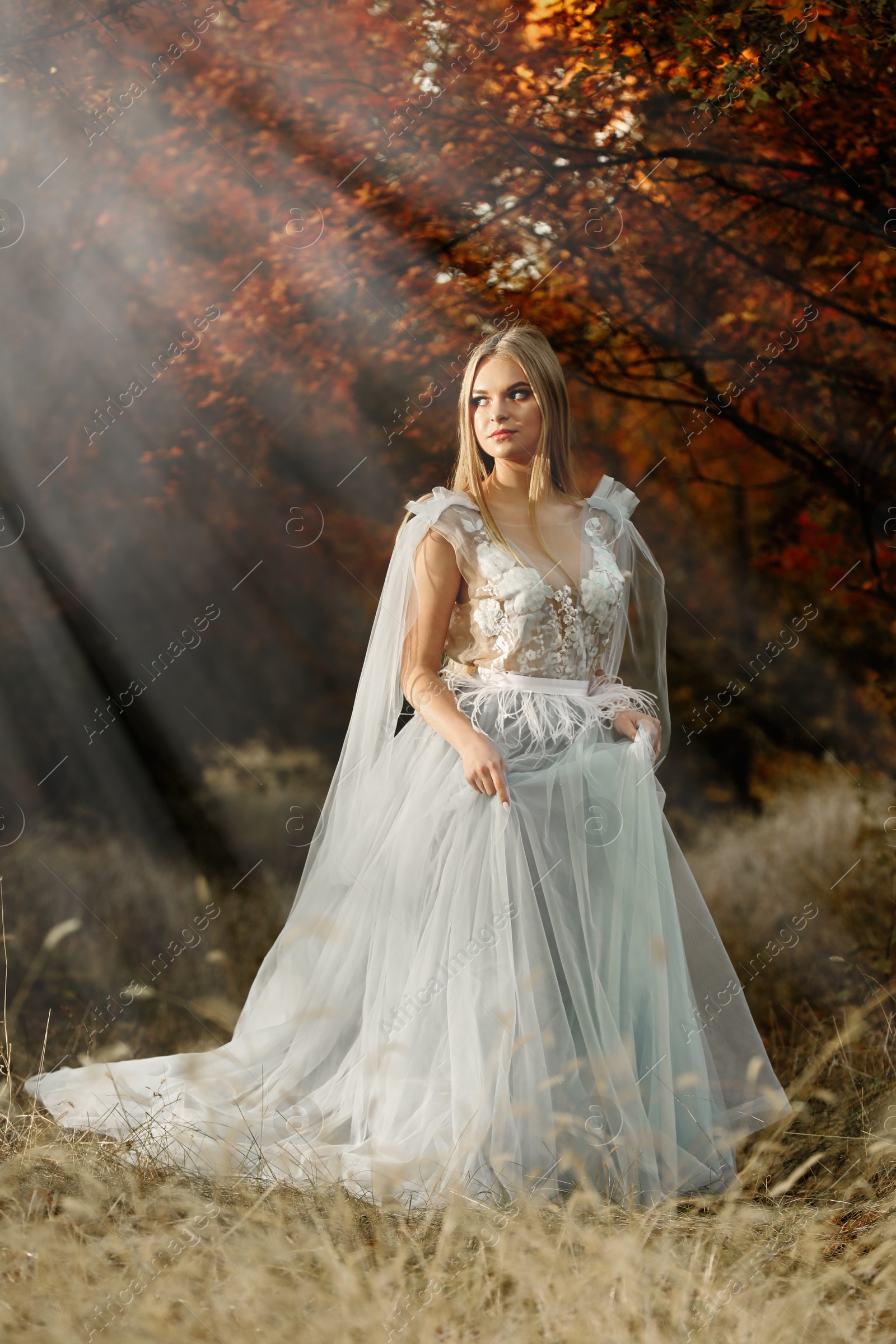 Photo of Beautiful girl wearing fairy dress in autumn forest