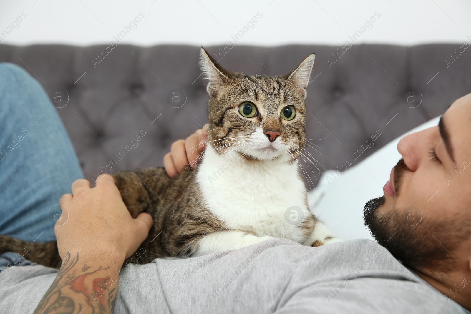 Photo of Happy man with cat on bed at home. Friendly pet