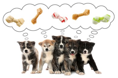 Image of Dreaming about treat. Cute Akita Inu puppies and thought cloud with knotted bones above them on white background