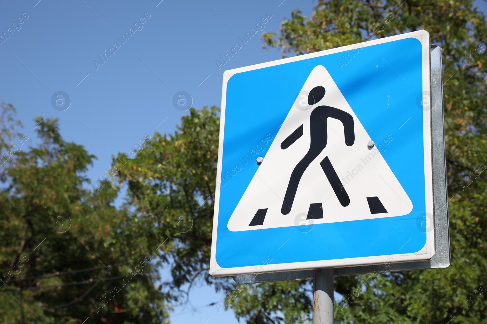 Photo of Pedestrian crossing road sign outdoors on sunny day