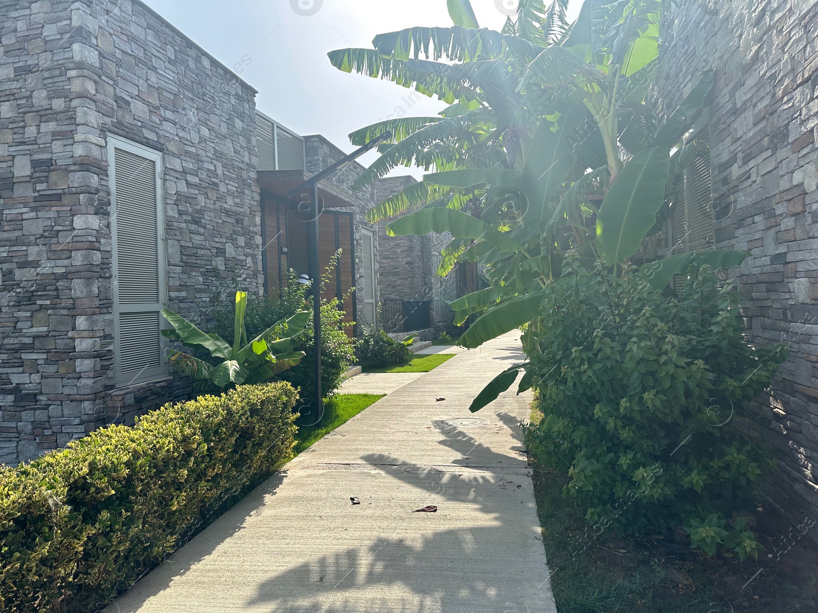 Photo of Beautiful hotel backyard with tropical trees, plants and buildings outdoors on sunny day