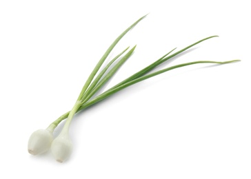 Photo of Fresh green onion on white background