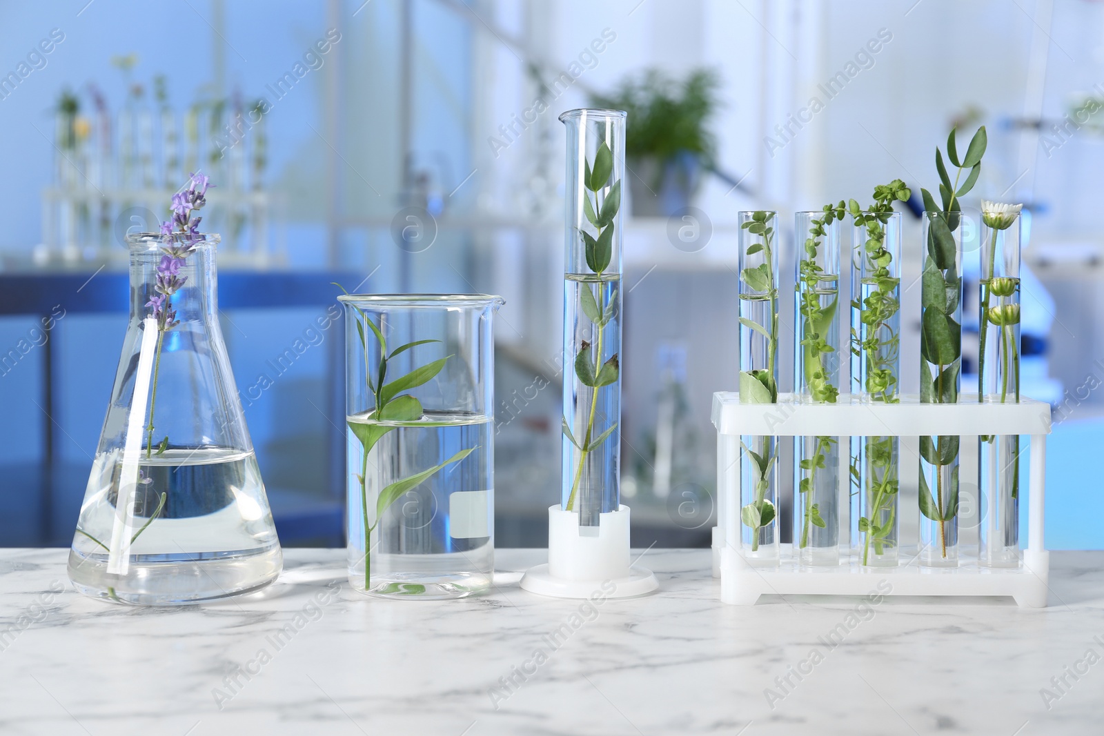 Photo of Test tubes and other laboratory glassware with different plants on table indoors