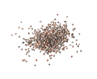 Pile of raw radish seeds on white background, top view. Vegetable planting