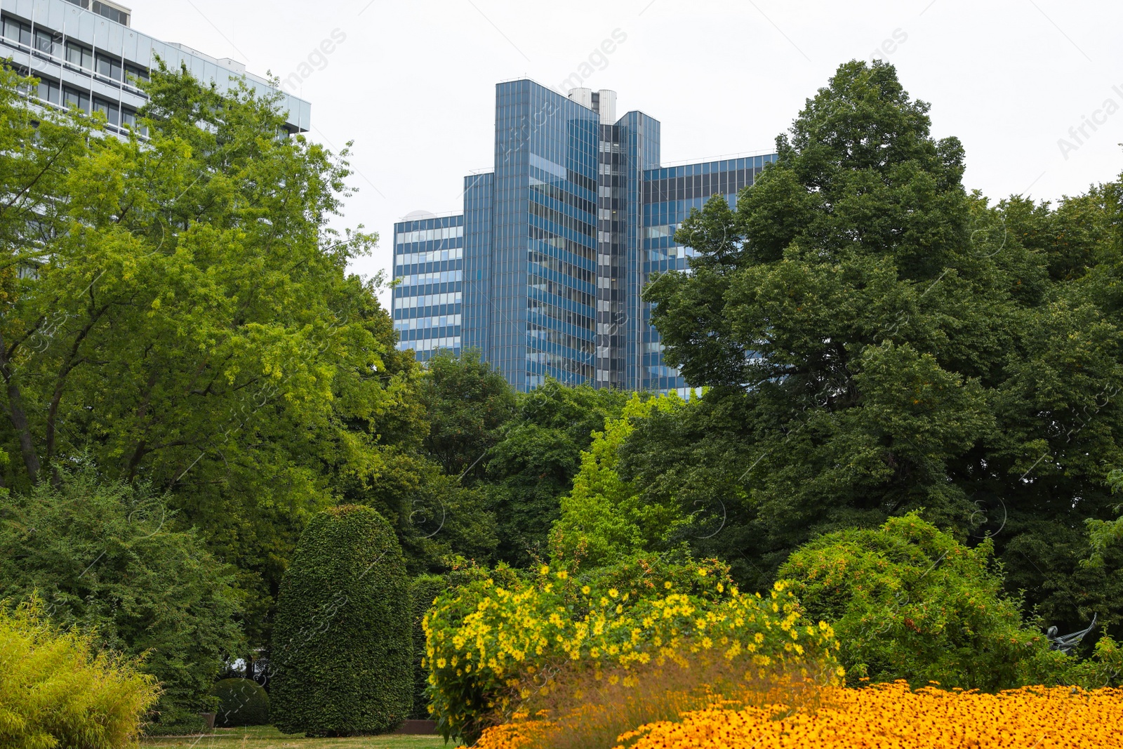 Photo of Beautiful view of buildings and green trees in city