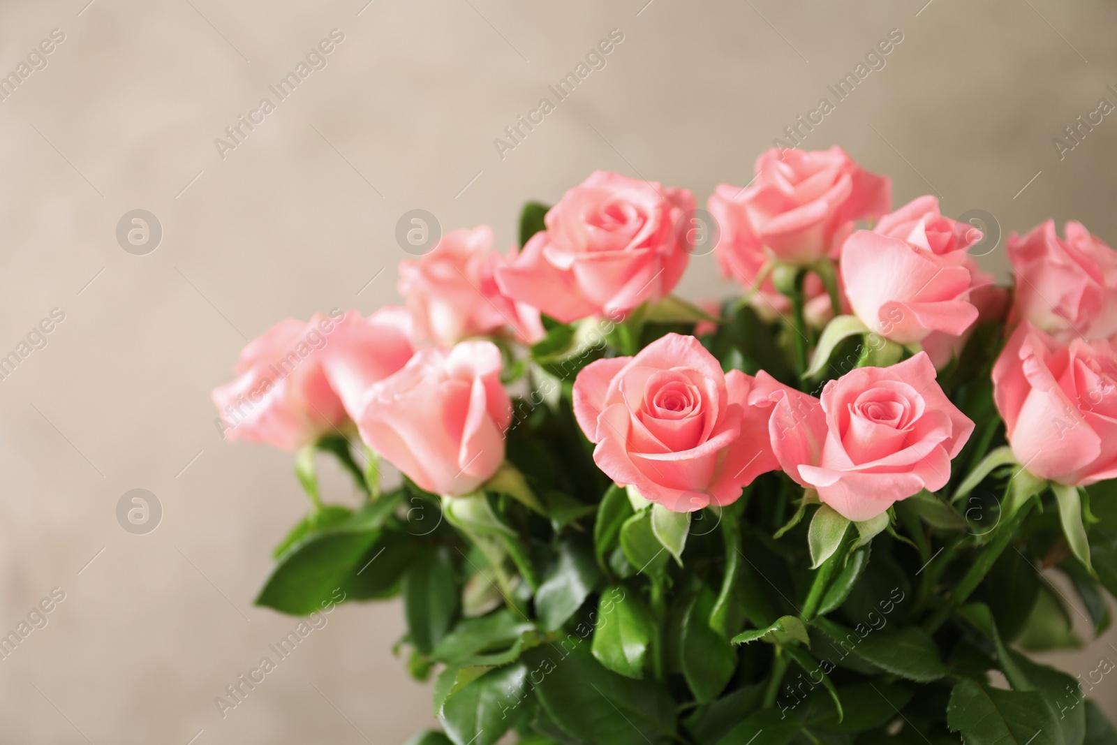 Photo of Bouquet of beautiful roses on blurred background